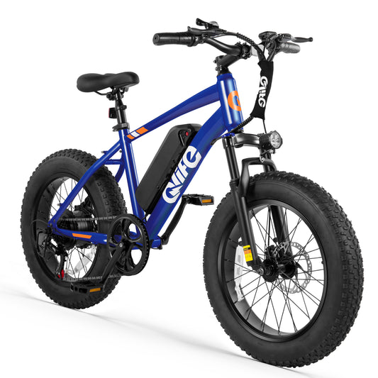 EB50 Racer Fat Tire Electric Bicycle for Adults, Over 20MPH Mountain Ebike