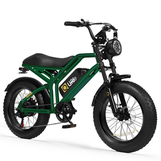 EB42 Spark Electric Bike for Adults, with Dual Suspension & Brakes Motorcycle