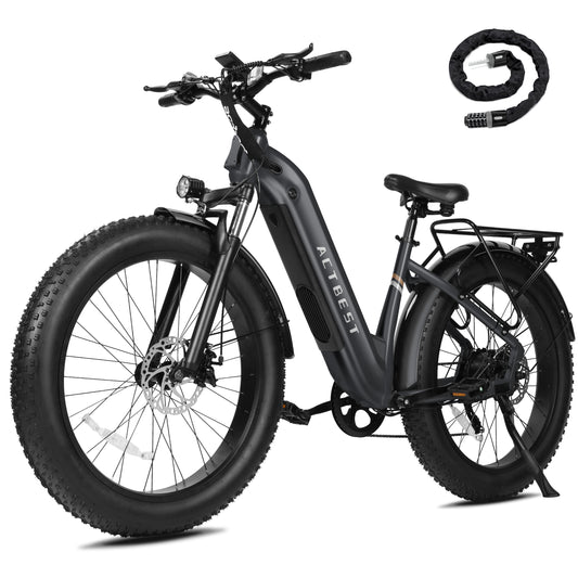 AT19 Electric Bike for Adults-Peak over 750W 20MPH Brushless Motor
