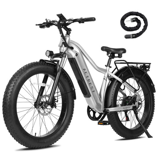 AT18 Electric Bike for Adults with Peak over 750W Brushless Motor