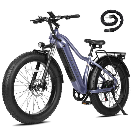 AT18 Electric Bike for Adults with Peak over 750W Brushless Motor