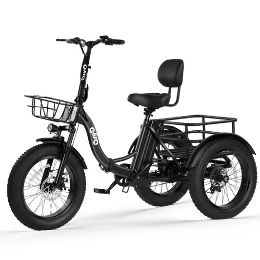EB11  Triker Plus Electric Bike Peak 750W Brushless Motor Electric Tricycle for Adults