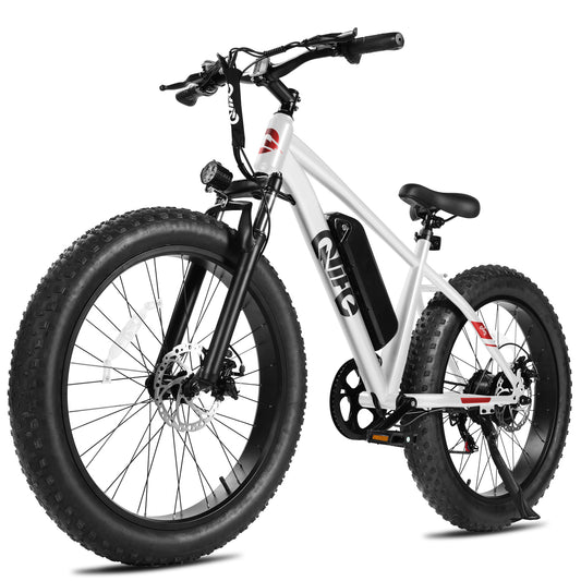 EB13 Racer Plus Adult Electric Bicycle