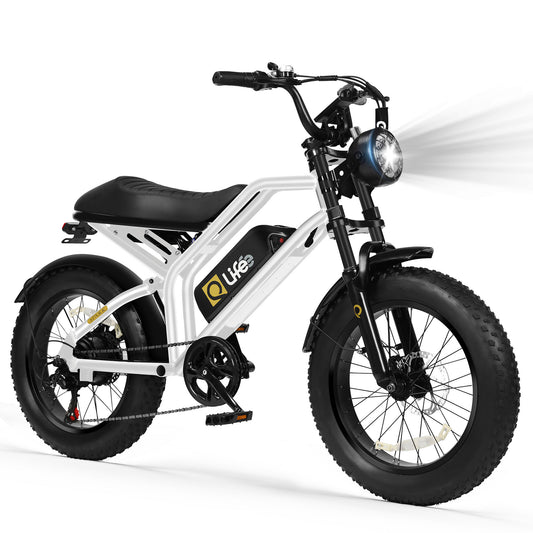 Hopepeak EB42 Spark 20x4.0" EBikes