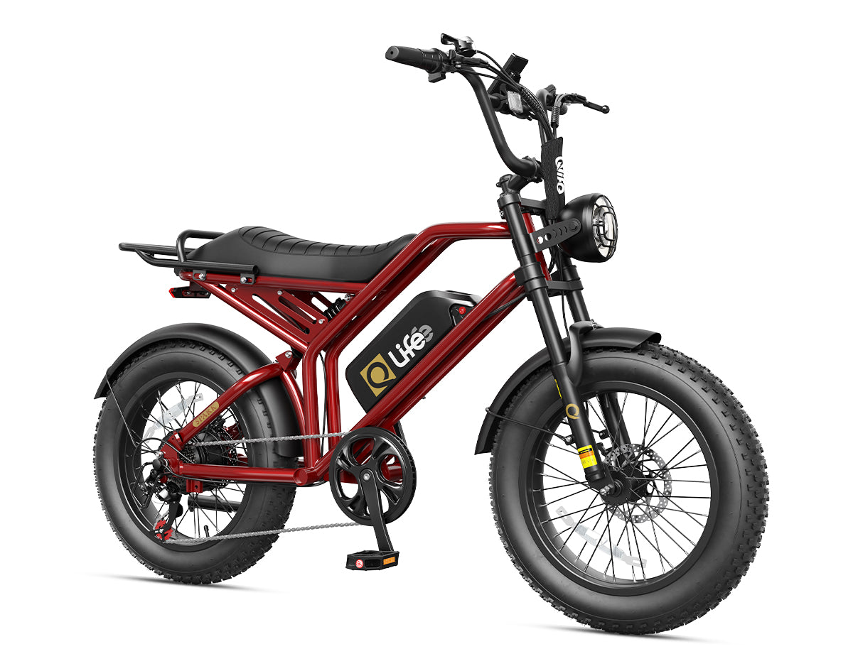EB42 Spark Electric Bike for Adults, with Dual Suspension & Brakes Motorcycle