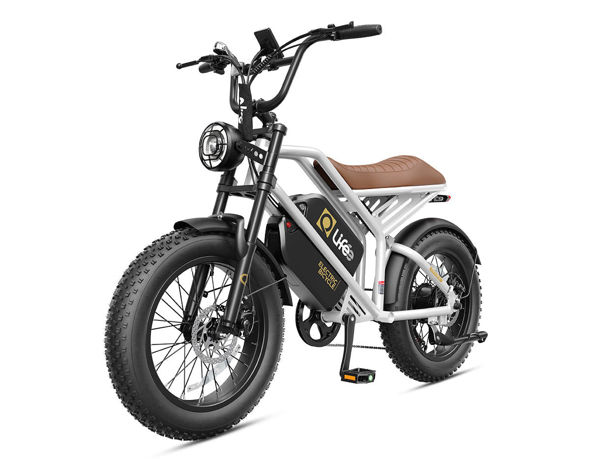 Hopepeak EB42Dual Spark 20x4.0" EBikes,Fat Tires Electric Bike for Adults