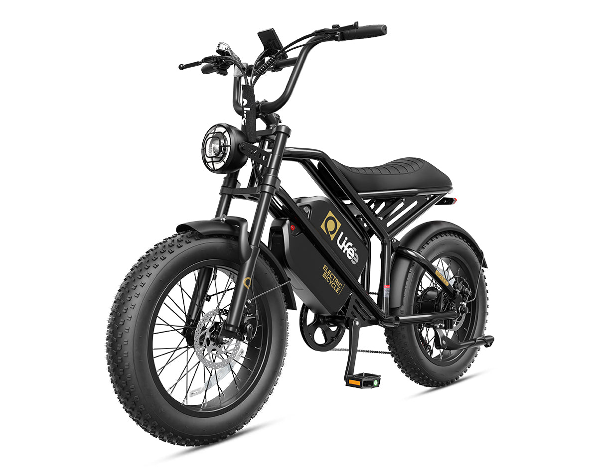 Hopepeak EB42Dual Spark 20x4.0" EBikes,Fat Tires Electric Bike for Adults