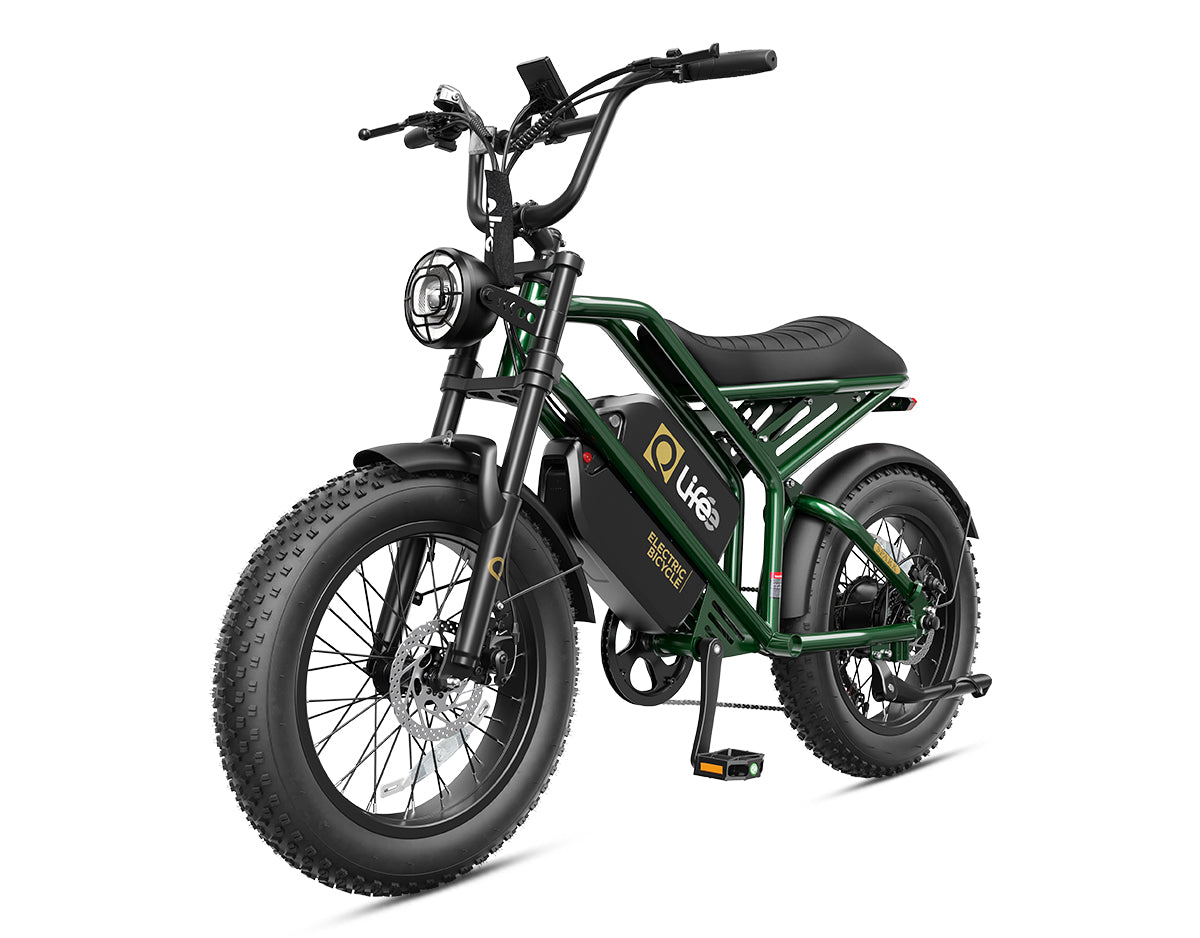 Hopepeak EB42Dual Spark 20x4.0" EBikes,Fat Tires Electric Bike for Adults