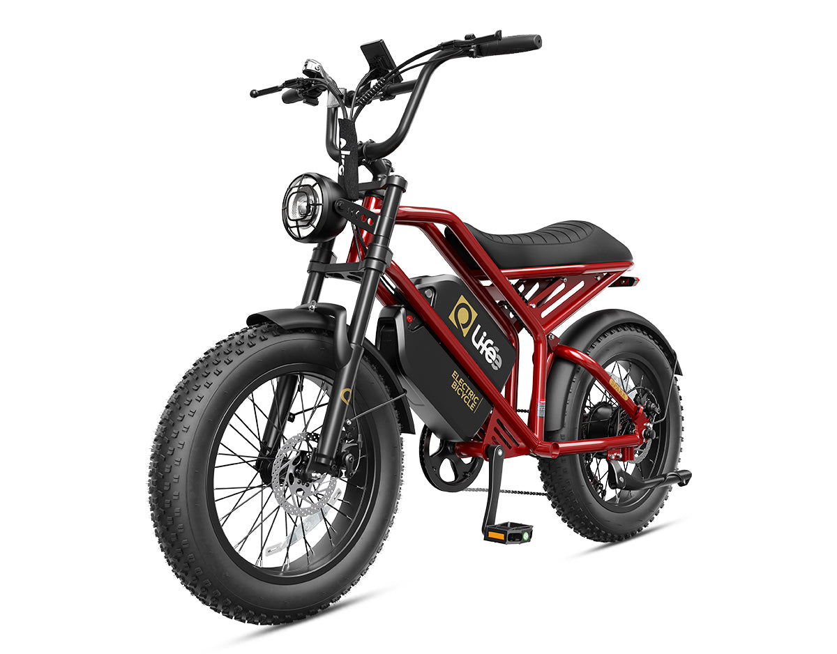Hopepeak EB42Dual Spark 20x4.0" EBikes,Fat Tires Electric Bike for Adults
