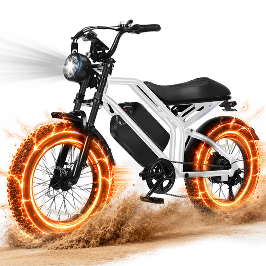 Hopepeak EB42Dual Retro Electric Bike for Adults